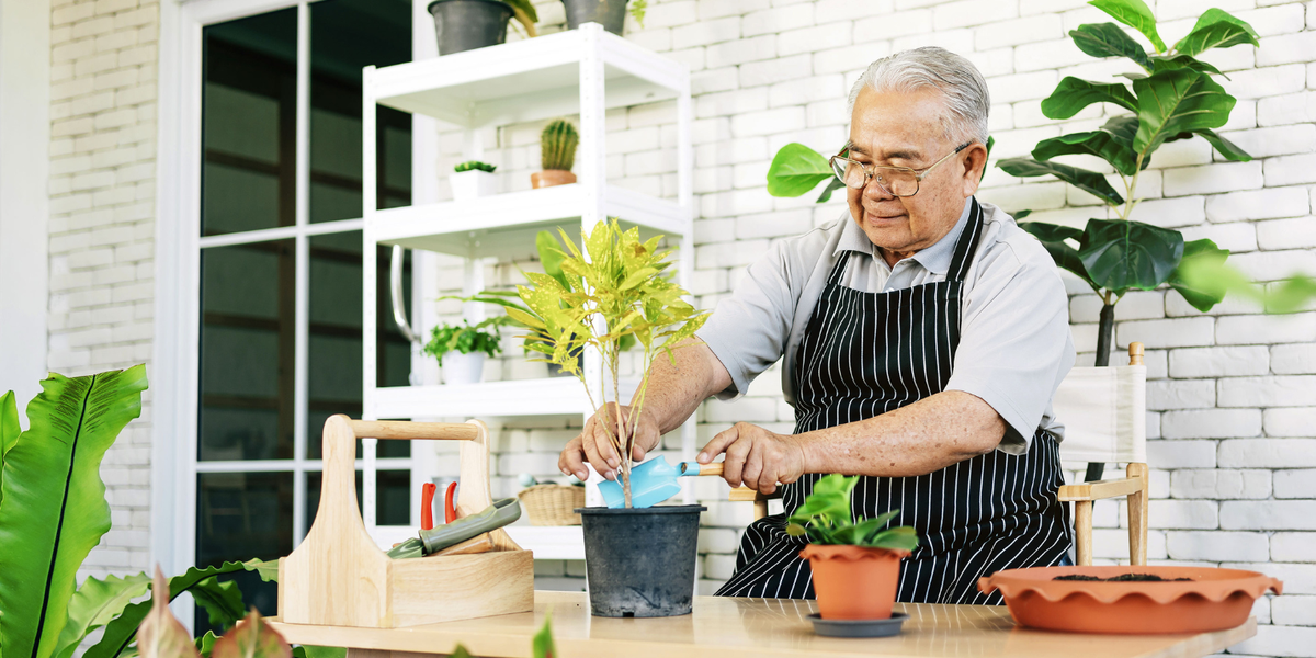 Man in a striped apron potting plants in a room surrounded by a variety of plants.
