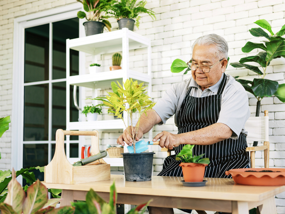 Plant a Garden, Harvest Better Health: Health Benefits of Gardening for Seniors
