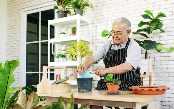 Plant a Garden, Harvest Better Health: Health Benefits of Gardening for Seniors
