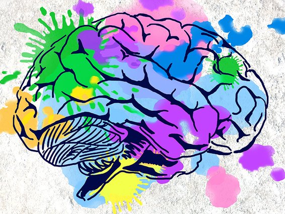 Simple Steps to Help Slow Memory Loss